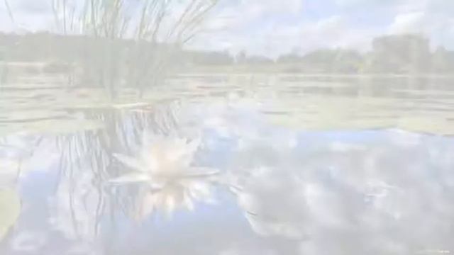 соседка Лиля смотреть онлайн