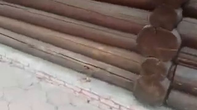 Гнилые венцы дома смотреть онлайн