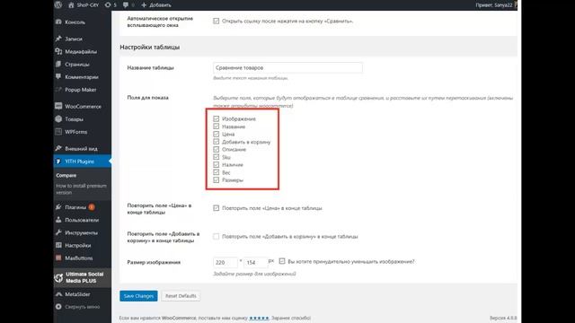 Как создать интернет магазин самому пошаговая инструкция. Урок №4 Настройка темы вордпресс смотреть онлайн