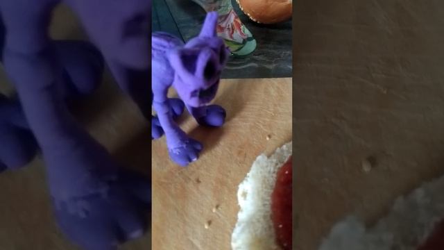 🐱обычный день Кэт Нэпа и первое 🎥🐱