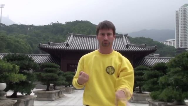 Sifu Sergio demonstrating the Weng Chun Kuen form смотреть онлайн