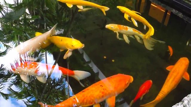 Bal Harbour Shops, Miami Beach смотреть онлайн