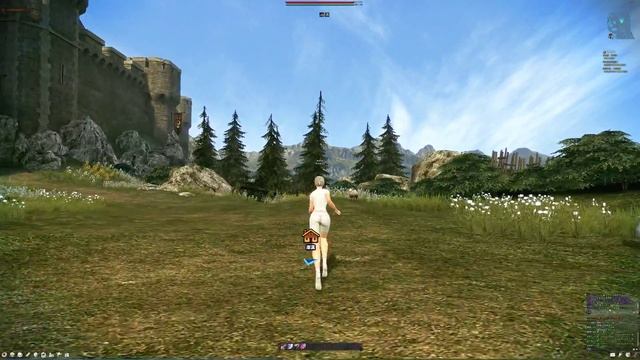 《4KGAME》新瑪奇英雄傳 Mabinogi: Heroes 人物花草 View #1 4K 60FPS Nvidia 970 смотреть онлайн