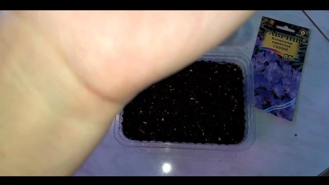 Карпатский колокольчик. Посев. смотреть онлайн