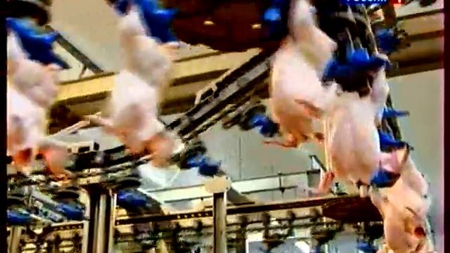 Мясо птицы и ВТО смотреть онлайн