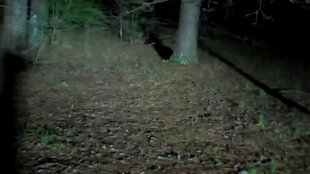 42" LED BAR - distantxtremes 240 watt insane brightness смотреть онлайн