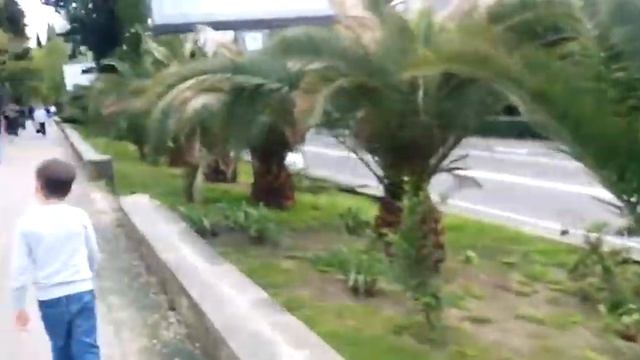 Ананасы по ул Горького Сочи смотреть онлайн