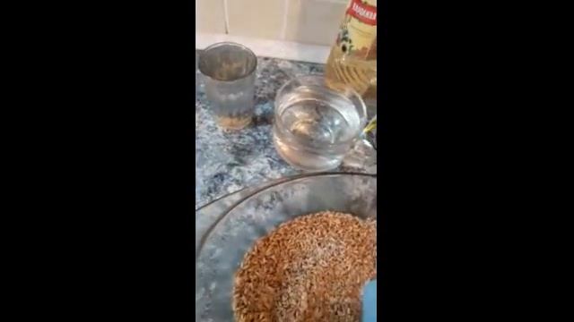 Как приготовить овсяную крупу смотреть онлайн