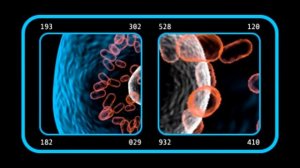 54 Medical Screens / Футажи / Графический интерфейс медицинского профиля