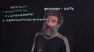 Цитология. Лекция 4. Цитоскелет. Окштейн И.Л.