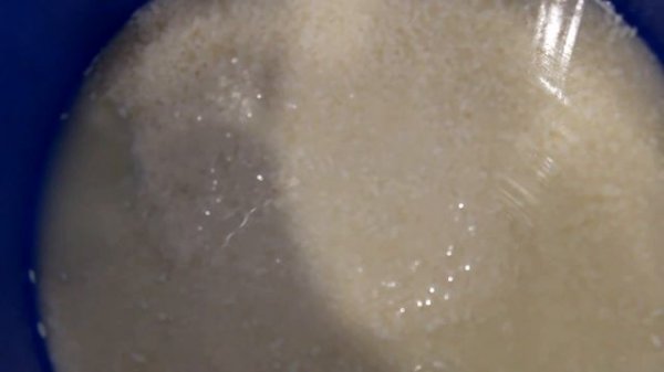 Перегонка густых зерновых браг без подгорания.