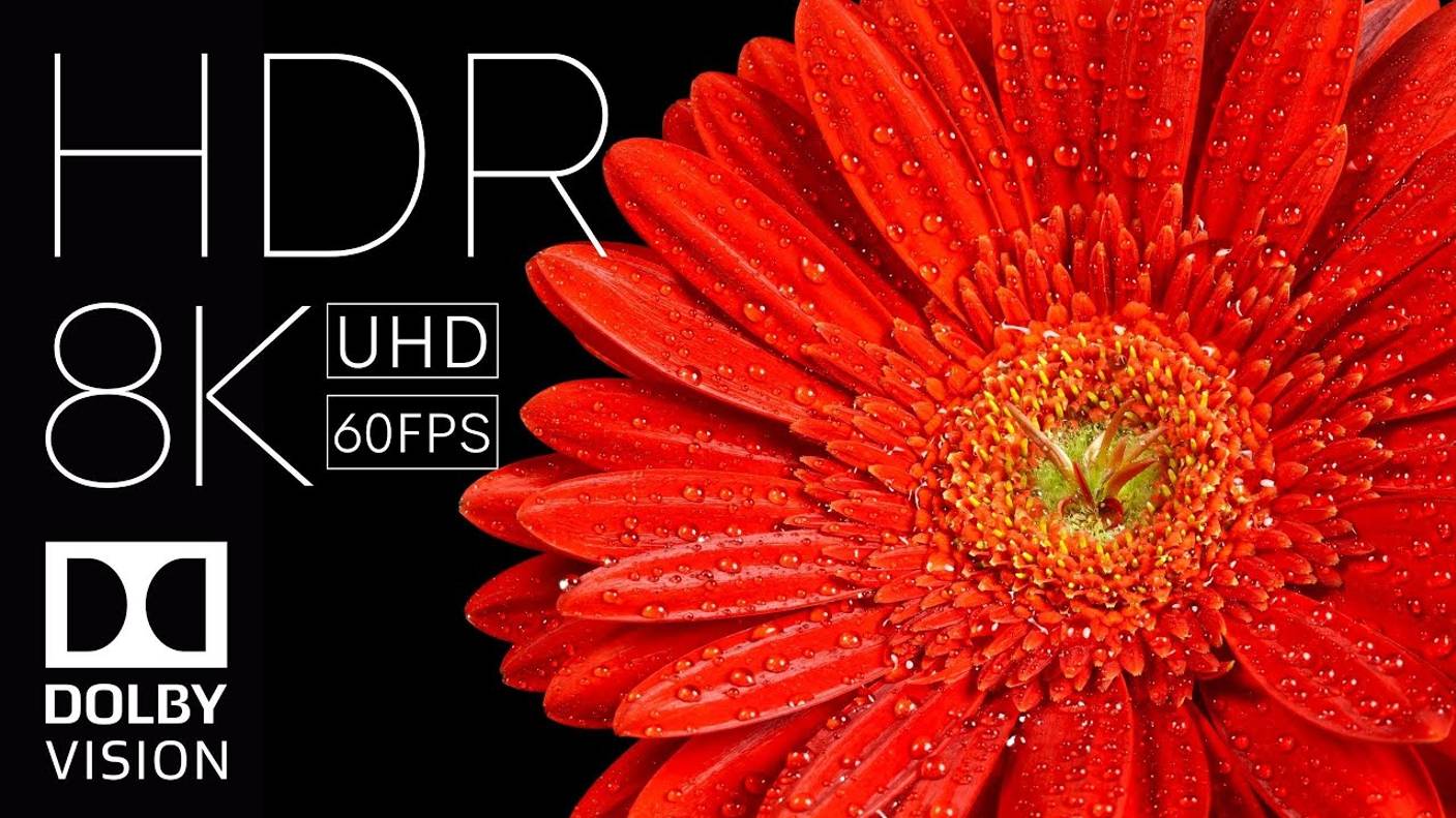 Идеальный черный - 4K HDR 60FPS Dolby Vision смотреть онлайн