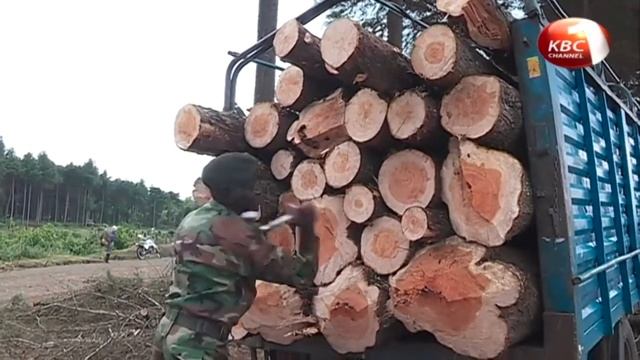 Reforestation ReDefined - Part One смотреть онлайн