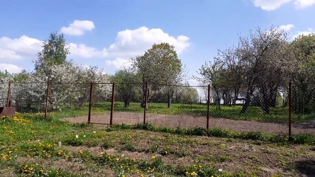 Наш забор из рабицы. смотреть онлайн