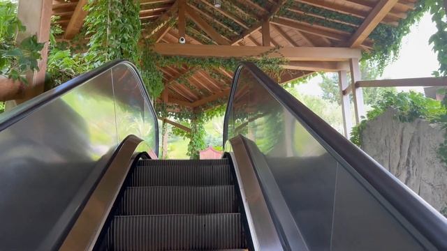 Крым | Mriya Resort & SPA 2023 | Наш отдых