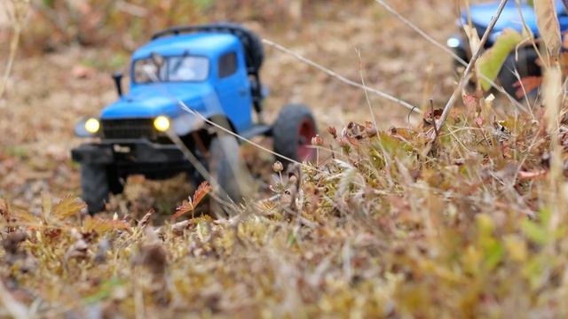 FMS FCX24 1/24TH Power Wagon RTR & Axial Bronco SCX24 RTR RC Crawler Trucks