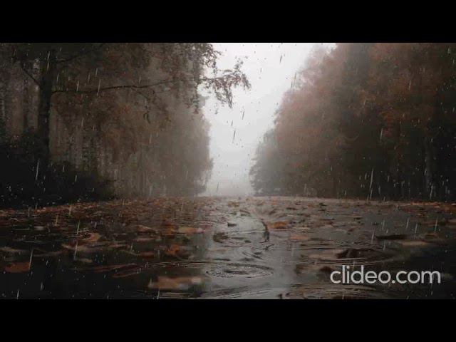 ехидная - НК смотреть онлайн