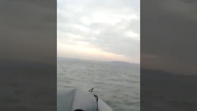 Ротан 420 на Таране(волна 1м. ветер 6м.с) смотреть онлайн