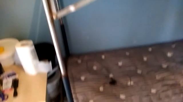 Работа в Швеции. Заселяемся в домики. смотреть онлайн