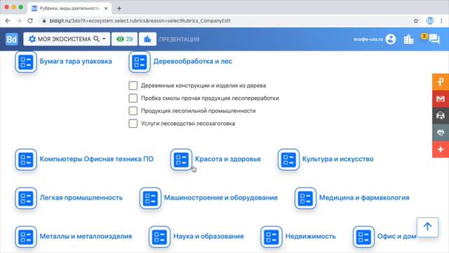 Виды деятельности / рубрики смотреть онлайн