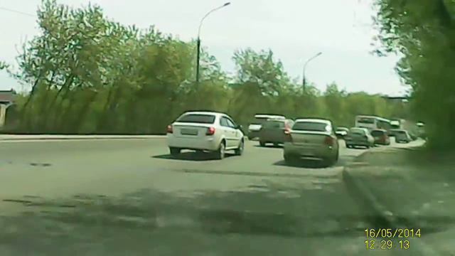 Лось в городе Новосибирске смотреть онлайн