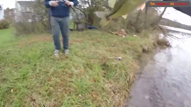 Топ 19 Cамых полезных вещей с АЛИЭКСПРЕСС! смотреть онлайн