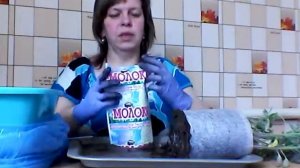 Пикировка томатов в пелёнки и новым способом. Тонкости выращивания томатов