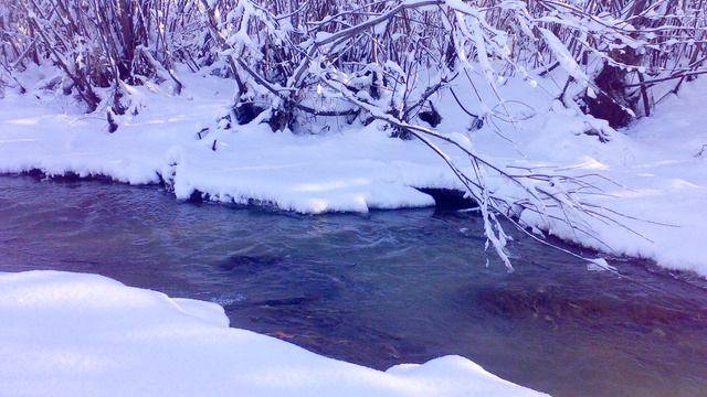 Антонио Вивальди🎻Времена года - Декабрь❄улучшено. смотреть онлайн