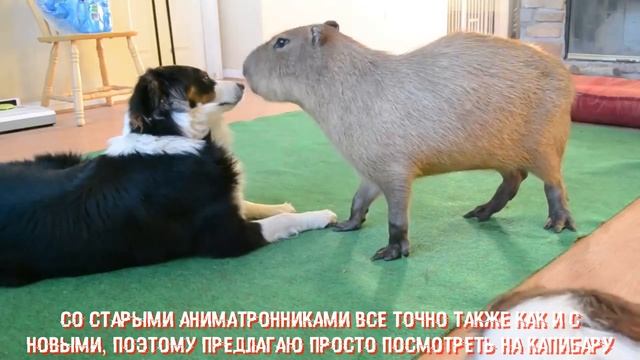 СРАВНЕНИЕ ГЕЙМПЛЕЯ ФНАФ (1-4 ЧАСТИ) смотреть онлайн
