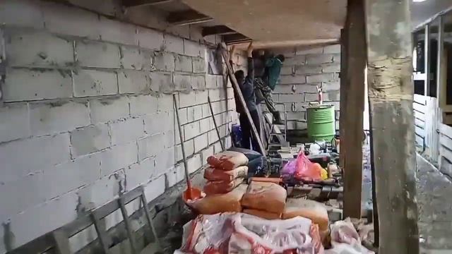 Обзор поросят Дюрок. Продажа поросят на племя. Продолжаем отделку нового сарая. смотреть онлайн