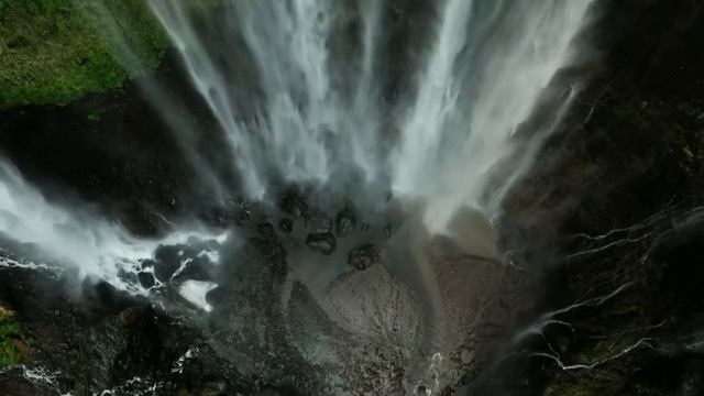 Чесночный сироп от кашля смотреть онлайн