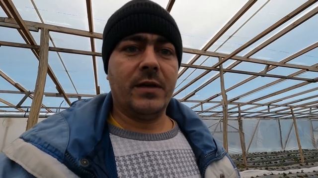 16_21Первая подкормка клубники в теплице. Ремонт капельной ленты..mp4