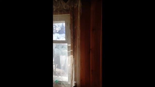 Королев дача Ульянова 20 а смотреть онлайн