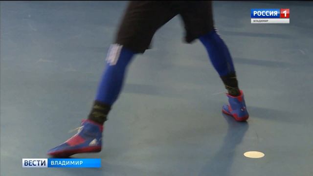 Немецкие боксеры во Владимире смотреть онлайн