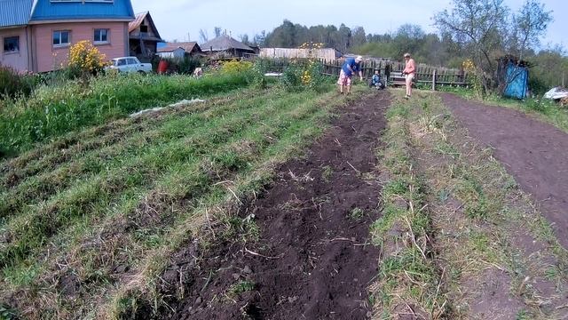 Уборка картофеля минитракторм Нева. Передний адаптер ктз-03 в деле смотреть онлайн