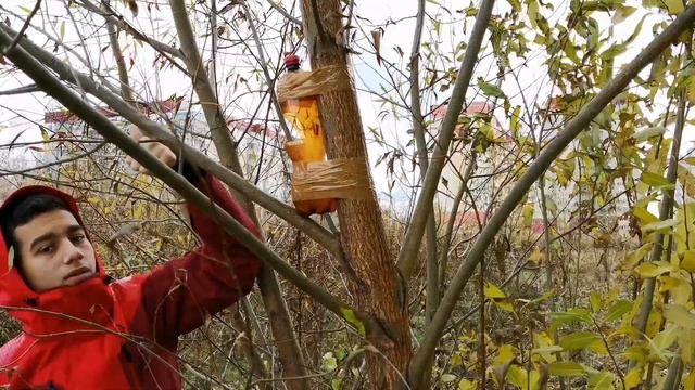 кормушка для птиц из пластиковых отходов смотреть онлайн