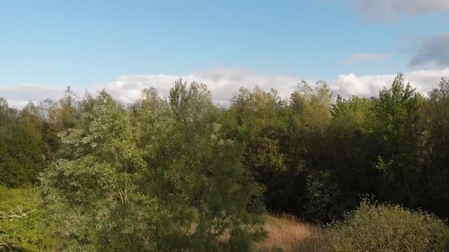 Беременная волчица осчастливила убитого горем вдовца, дав ему то что изменило жизнь смотреть онлайн