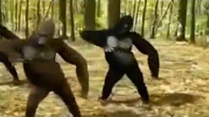 Гориллы танцуют под Gorillaz (gorillas dance to the Gorillaz)