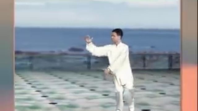 陳思坦48式太極拳 смотреть онлайн