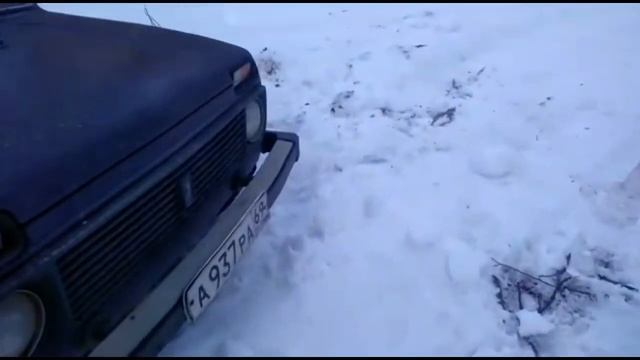 День рождения ? Аяврика! Следы волка!!! Лесная прогулка)))Западно Сибирская Лайка смотреть онлайн