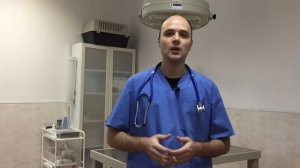 Почему у кота воняет изо рта? Неприятный запах гнили, ацетона, мочи из пасти кошки