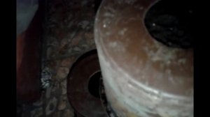 Помидоры в ведёрках - способ посадки черри