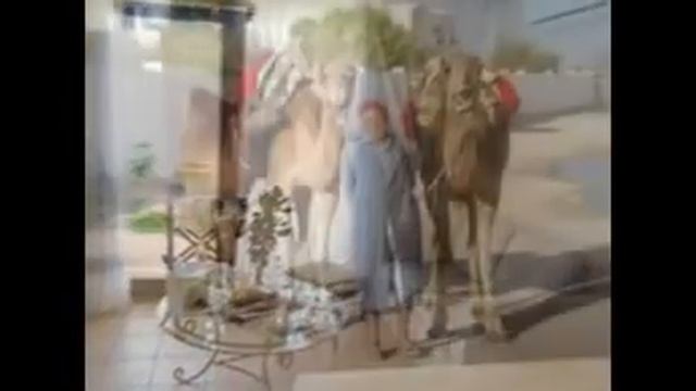 Отдых на лучших курортах Алжира смотреть онлайн