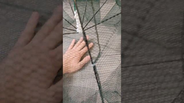 Показываю раколовку смотреть онлайн