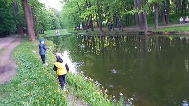 Будни в городе... К