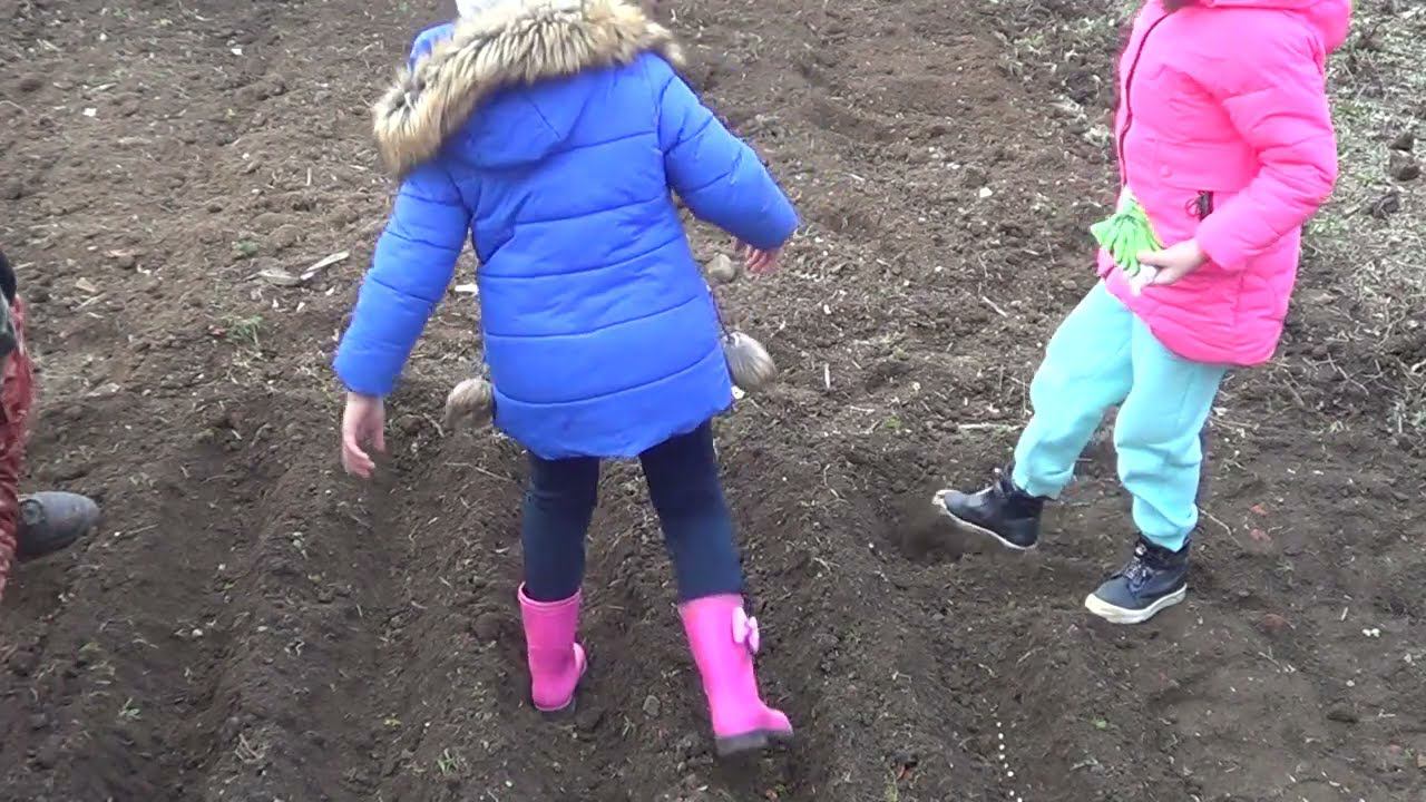 НАШЛИ КЛАД / ЭТА МЫСЛЬ МЕНЯ НЕ ОСТАВИЛА / РАСПАХАЛИ ЦЕЛИНУ смотреть онлайн