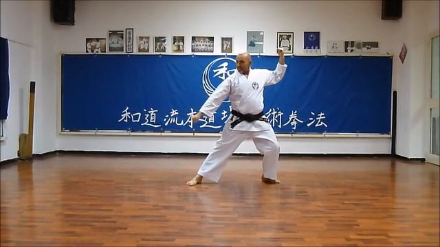 Pinan Godan - Wado Ryu 5th Pinan Kata - Wado Ryu Hon Dojo - Karate video смотреть онлайн