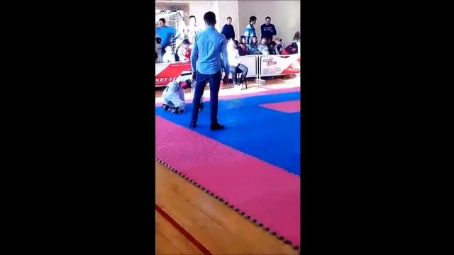 Первенство Тюменской области по тхэквондо ИТФ, ГТФ, МТФ, 2017 г. смотреть онлайн
