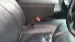 Honda Freed. Замена штатных передних кресел.