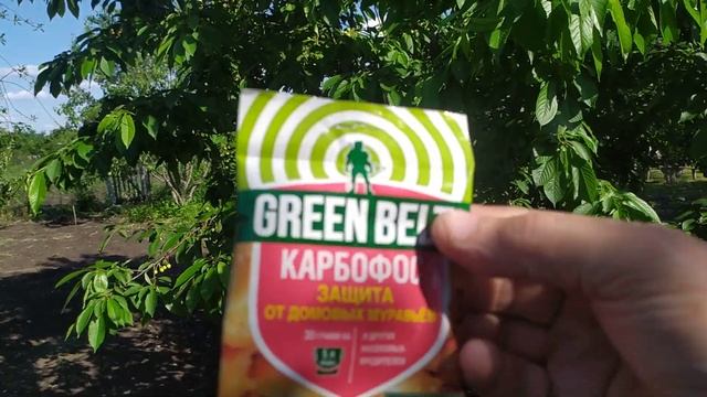 Борьба с тлей и садовыми муравьями по методу А.Лукьянова смотреть онлайн